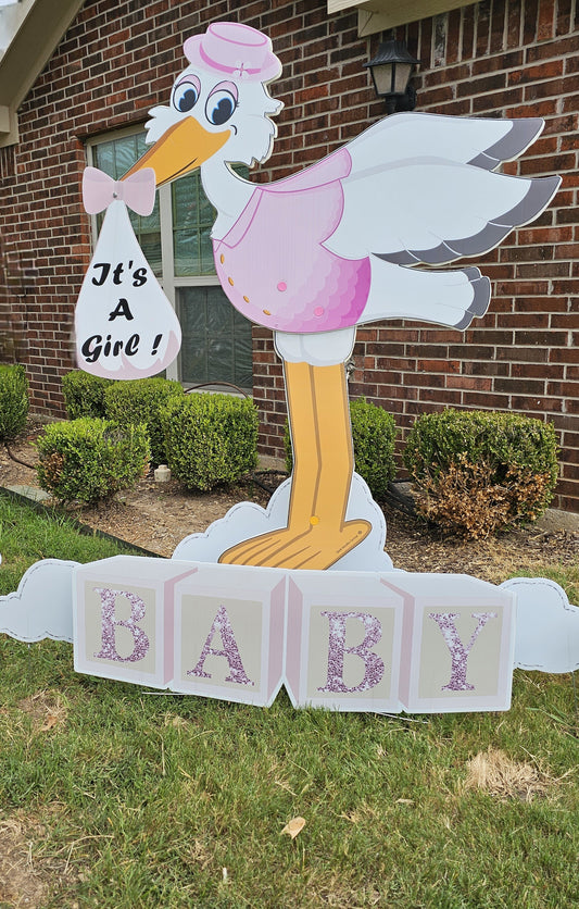 Gender reveal/ Baby shower package