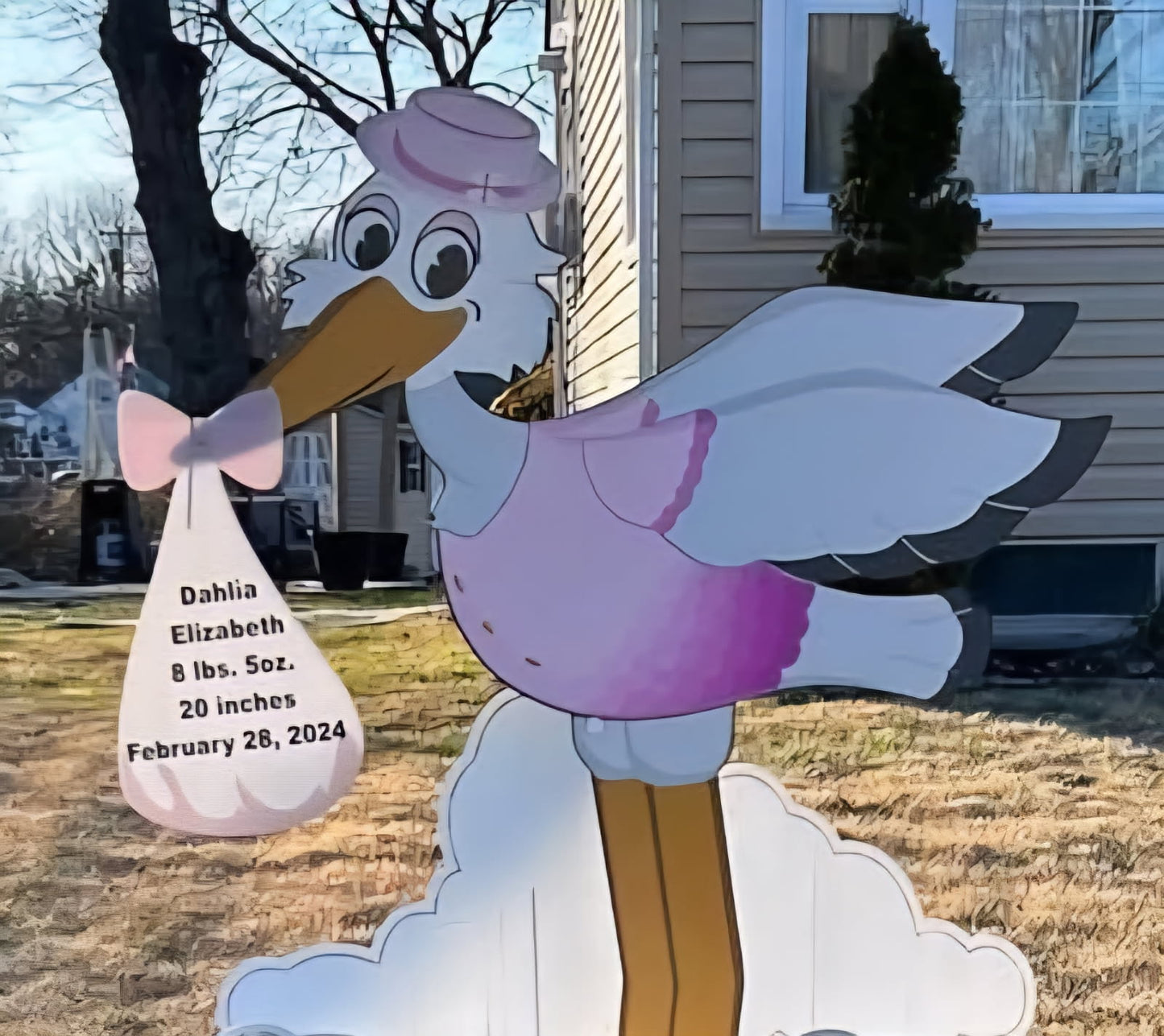 Traditional Stork, Clouds and Blocks